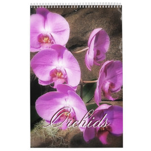 Calendrier Orchidées