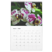 Calendrier Orchidées (Mar 2026)