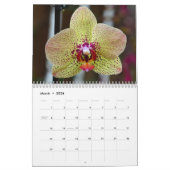 Calendrier Orchidées (Mar 2026)