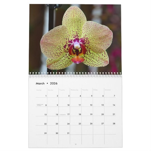 Calendrier Orchidées (Mar 2026)