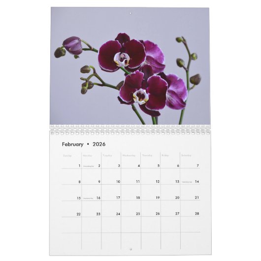 Calendrier Orchidées (Feb 2026)