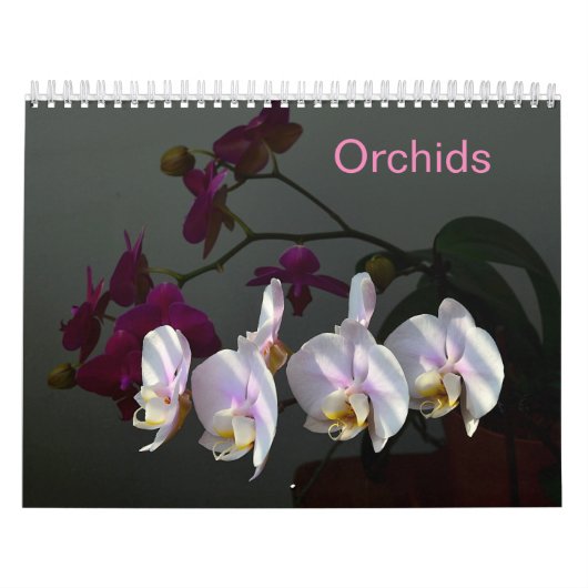 Calendrier Orchidées (Protection)