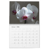 Calendrier Orchidées (Jan 2026)