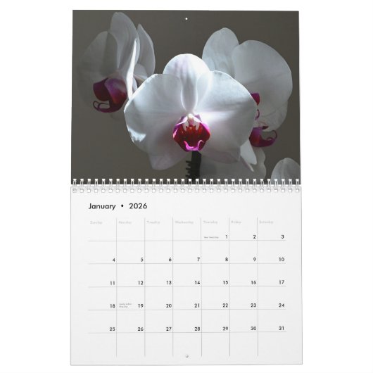 Calendrier Orchidées (Jan 2026)
