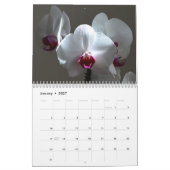Calendrier Orchidées (Jan 2027)
