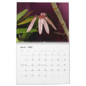 Calendrier Orchidées délicates et exotiques (Mar 2027)