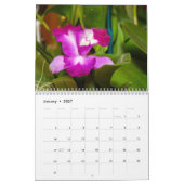 Calendrier Orchidées délicates et exotiques (Jan 2027)