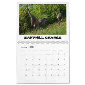 CALENDRIER ORLANDO WETLANDS CALENDAR (Jan 2026)