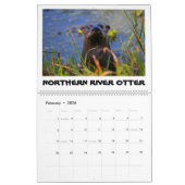 CALENDRIER ORLANDO WETLANDS CALENDAR (Feb 2026)