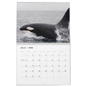 Calendrier Orques de baleines tueuses 2025 (Mar 2026)