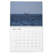 Calendrier Orques de baleines tueuses 2025 (Jan 2027)