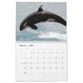 Calendrier Orques de baleines tueuses 2025 (Feb 2027)