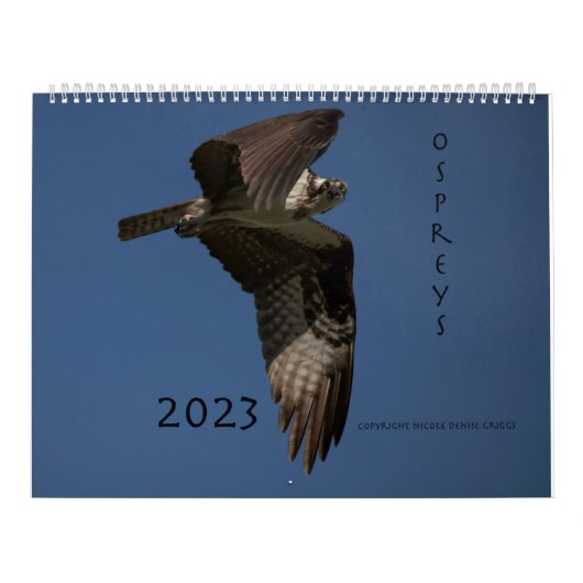 Calendrier Ospreys In Action 2023 (Protection)