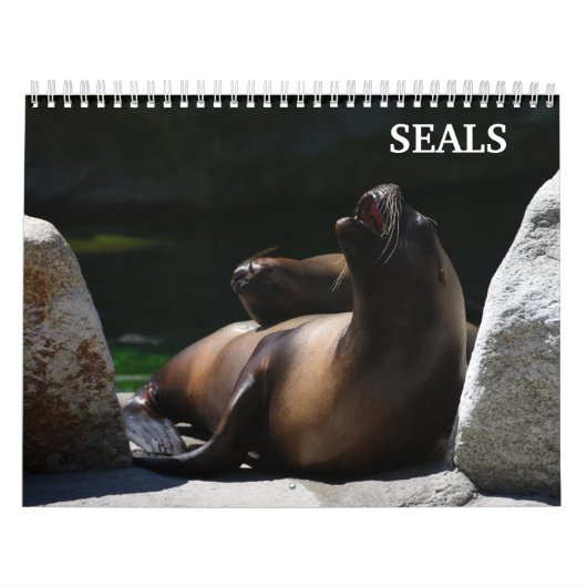 Calendrier Otaries 2026 (Protection)