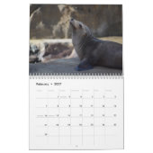 Calendrier Otaries 2026 (Feb 2027)