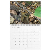 Calendrier - Où vivent les choses sauvages (Mar 2027)