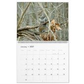 Calendrier - Où vivent les choses sauvages (Jan 2027)