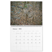 Calendrier - Où vivent les choses sauvages (Feb 2026)