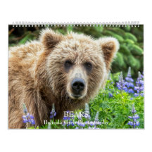 OURS - Belinda Greb Photographie