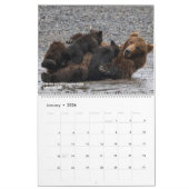 Calendrier OURS - Belinda Greb Photographie (Jan 2026)