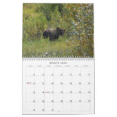 Calendrier Ours gris canadiens occidentaux (Mar 2026)
