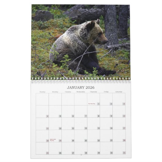 Calendrier Ours gris canadiens occidentaux (Jan 2026)