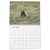 Calendrier Ours grizzlis (Mar 2026)