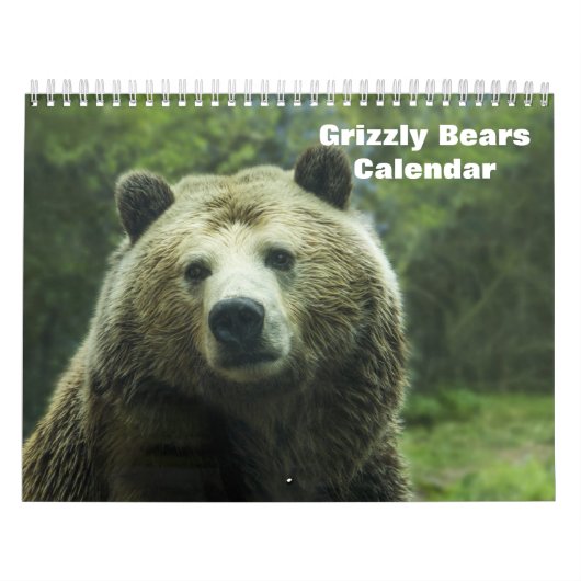 Calendrier Ours grizzlis (Protection)