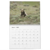 Calendrier Ours grizzlis (Mar 2027)