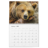 Calendrier Ours grizzlis (Jan 2027)