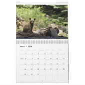 Calendrier Ours par Edouard Hughes (Mar 2026)