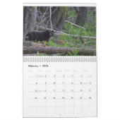 Calendrier Ours par Edouard Hughes (Feb 2026)