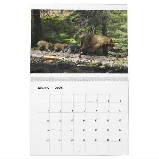 Calendrier Ours par Edouard Hughes (Jan 2026)