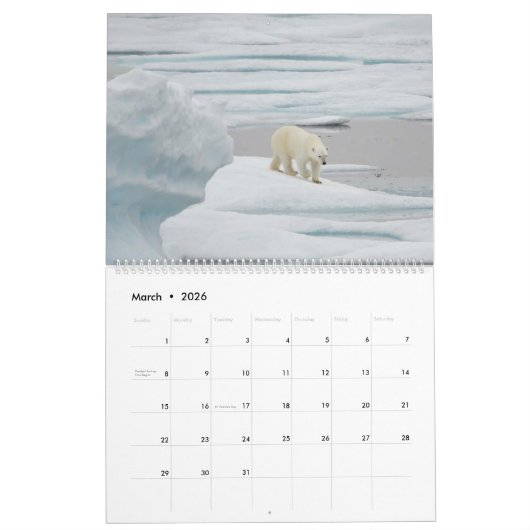 Calendrier Ours polaires en pleine nature (Mar 2026)