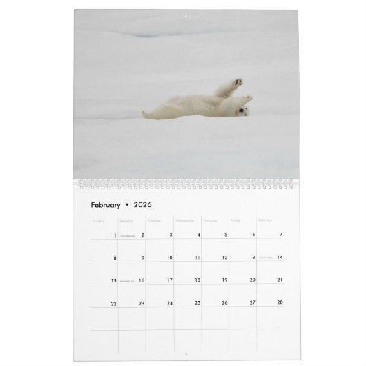 Calendrier Ours polaires en pleine nature (Feb 2026)