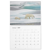 Calendrier Ours polaires en pleine nature (Jan 2027)