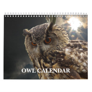 Calendrier Owl Pictures and Images 2025