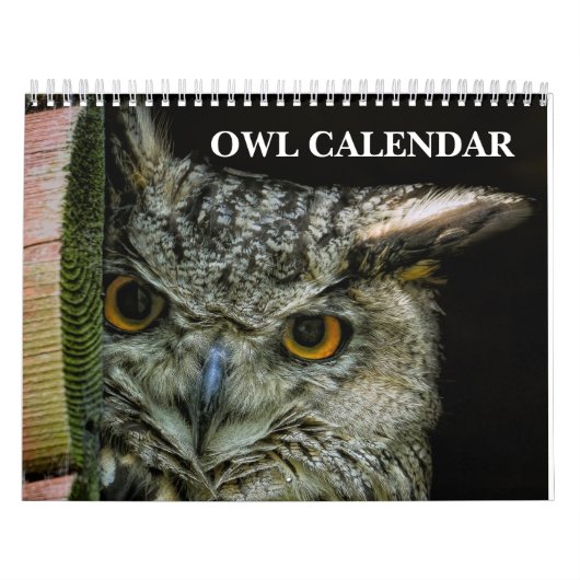 Calendrier Owl Pictures and Images 2025 (Protection)