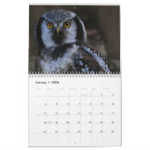 Calendrier Owl Pictures and Images 2025 (Jan 2026)