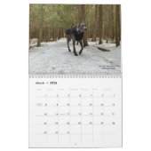 Calendrier OWRAssist Love Rescues (Mar 2026)