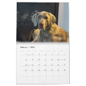 Calendrier OWRAssist Love Rescues (Feb 2026)