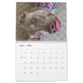 Calendrier OWRAssist Love Rescues (Mar 2026)