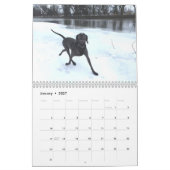 Calendrier OWRAssist Love Rescues (Jan 2027)