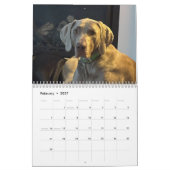 Calendrier OWRAssist Love Rescues (Feb 2027)