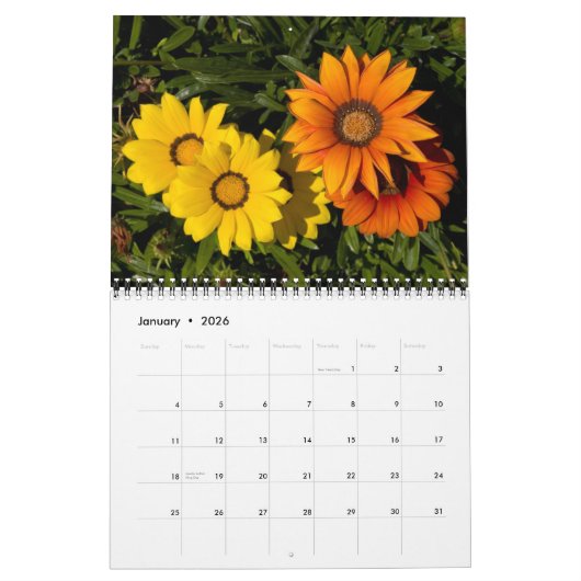 Calendrier P4079331-LR-1, fleurs du sud-ouest, 2008 (Jan 2026)