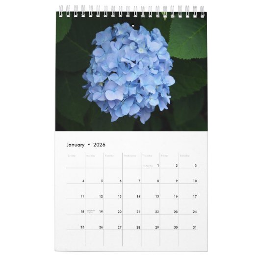 Calendrier Page unique Hydrangea (Jan 2026)