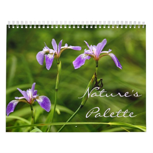 Calendrier - Palette de la nature (Protection)