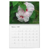 Calendrier - Palette de la nature (Feb 2027)