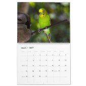 Calendrier Palooza Parakeet (Mar 2027)