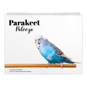 Calendrier Palooza Parakeet